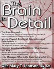 Mary T. Johnson – The Brain in Detail