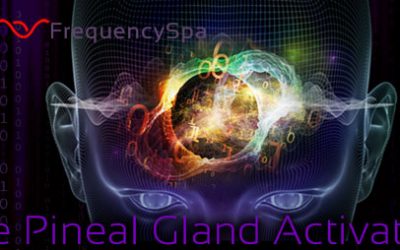 Mas Sajady – Pineal Gland Activation
