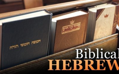 Michael Carasik – Biblical Hebrew: Learning a Sacred Language