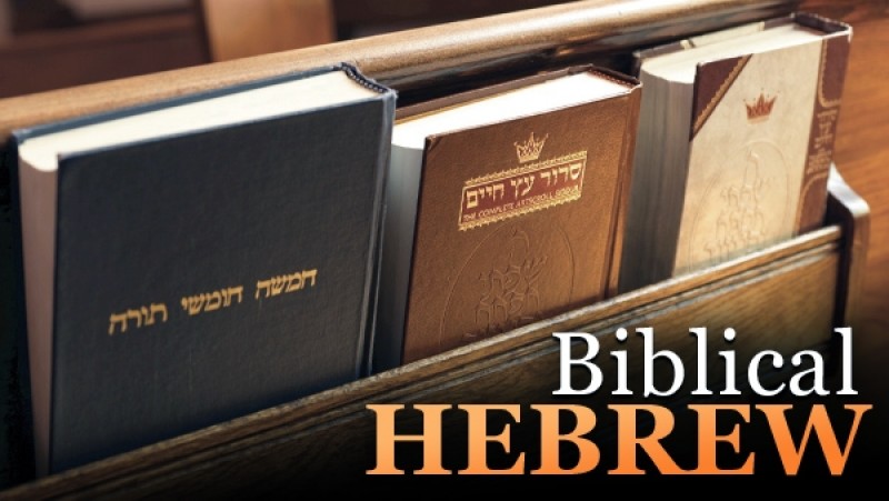 Michael-Carasik-Biblical-Hebrew-Learning-a-Sacred-Language1