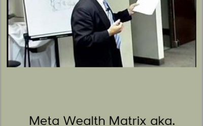 Michael Hall – Wealth Genius 2005 DVD Set aka meta Wealth Matrix