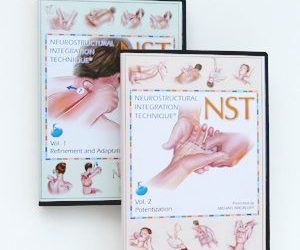 Michael Nixon-Livy – NST Advanced DVD Training Course