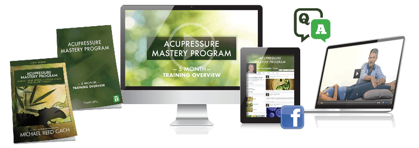 Michael-Reed-Gach-Acupressure-Mastery-Program-Month-11