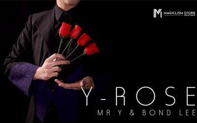 Mr. Y & Bond Lee – Y-Rose