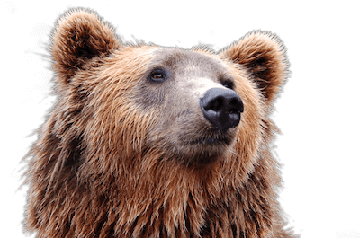 ReadySetCrypto-Live-Webinar-Bear-Market-Survival-1