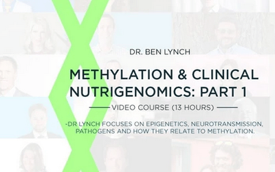 SHEI: Methylation & Clinical Nutrigenomics, Pt. 1 (1/2)