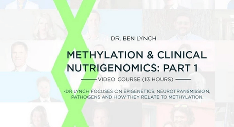 SHEI-Methylation-Clinical-Nutrigenomics-Pt.-1-1-2