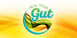 Heal Your Gut Summit 2016 (compressed) + audios + bonus