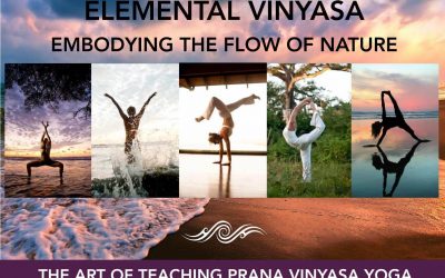 Shiva Rea – Elemental Pathway of Prana Vinyasa