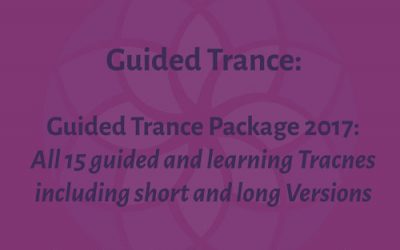 Stephen Gilligan 2017 Guided Trance Package