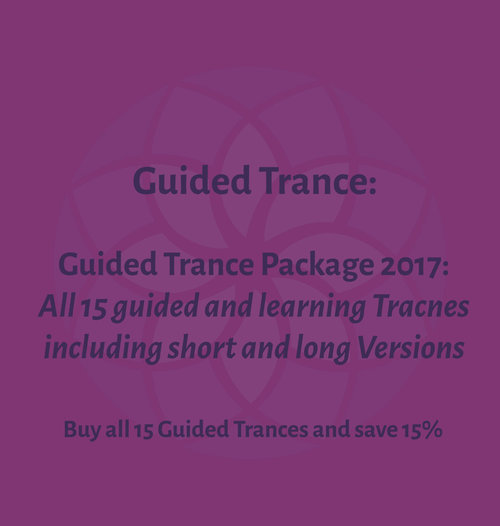 Stephen-Gilligan-2017-Guided-Trance-Package-1