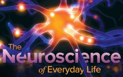 TTC – Neuroscience of Everyday Life