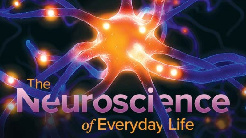 TTC-Neuroscience-of-Everyday-Life1