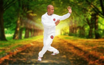 Tai Chi – Yang style- Chi Kung