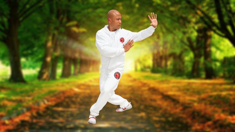 Tai-Chi-Yang-style-Chi-Kung1