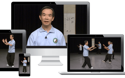 Tai Chi for Energy – 8 Lessons with Dr. Paul Lam