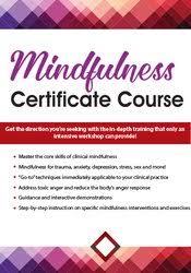 Terry Fralich – Mindfulness Certificate Course, 2-Day Intensive Training