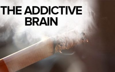 The Addictive Brain