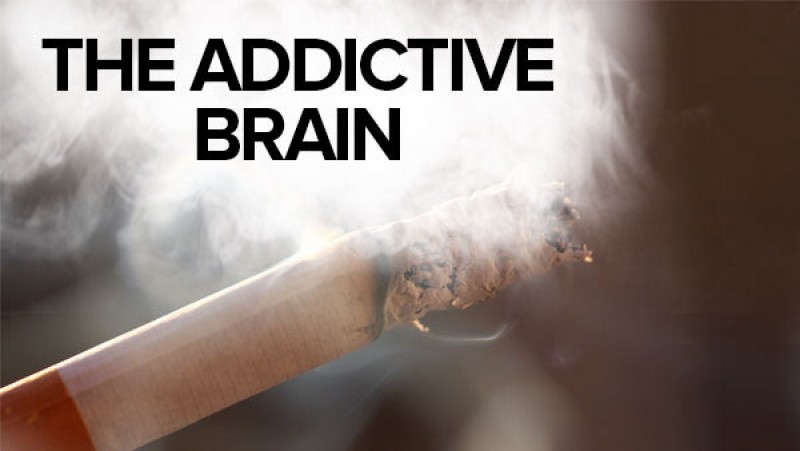 The-Addictive-Brain1