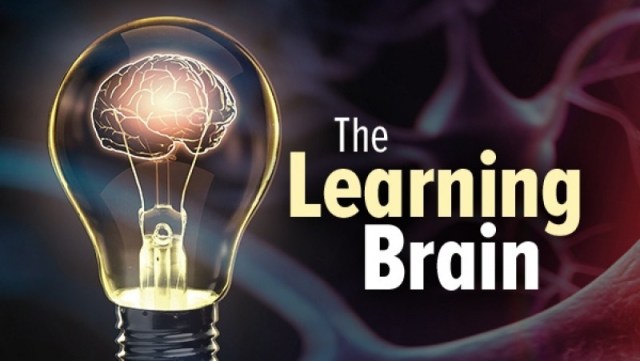 The Learning Brain Download