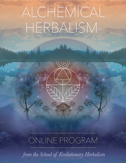 The-School-of-Evolutionary-Herbalism-Alchemical-Herbalism-1