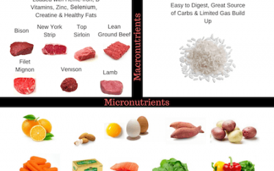 The Vertical Diet & Peak Performance 3.0