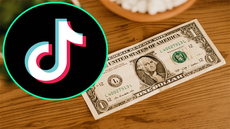 Udemy-Mounir-Boutaib-Tiktok-Marketing-for-Beginners-20201