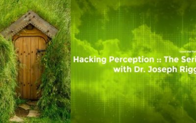 Joseph Riggio – Hacking Perception – The Series