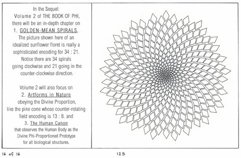 yH5BAEAAAAALAAAAAABAAEAAAIBRAA7