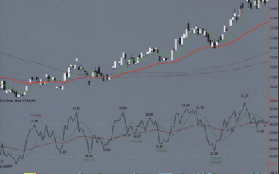 John Hayden – RSI. The Complete Guide