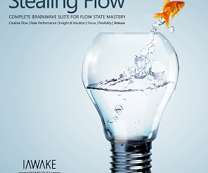 iAwake Technologies – Douglas Prater – Stealing Flow Gamma