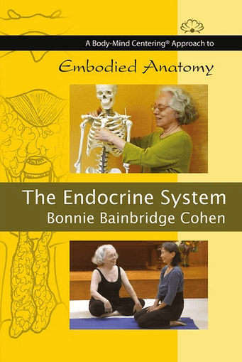 Bonnie Bainbridge Cohen – Embodied Anatomy and the Endocrine System 1