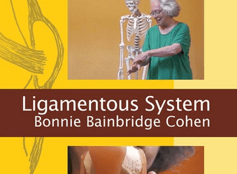 Bonnie Bainbridge Cohen – Embodied Anatomy and the Ligamentous System