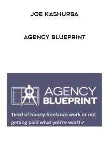 Joe Kashurba - Agency Blueprint