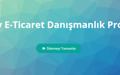 Shopify E-Ticaret Danışmanlık Programı