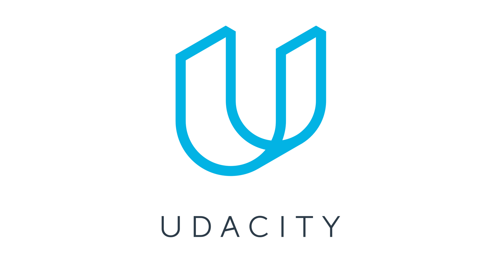 Udacity – Business Analytics Nanodegree 1