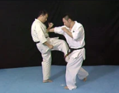 Born to be Strongest – Kyokushin Karate Instructional 4 DVD Set
