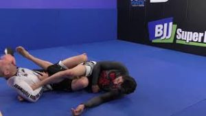 Jay Wadsworth - The Ashi Leglock System