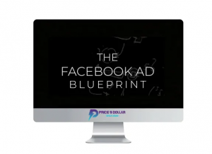 Reece Wabara - The Facebook Ad BluePrint