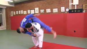 Sagi Muki – Power Judo