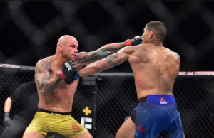 Thiago Alves - Explosive Striking