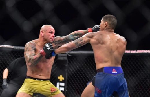 Thiago Alves – Explosive Striking