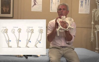 Tom Myers – Balancing the Pelvis