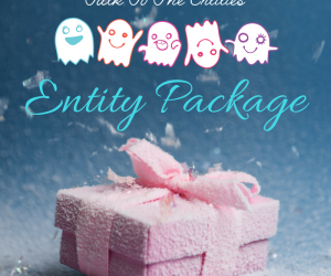 Entity Package – The 3 C’s