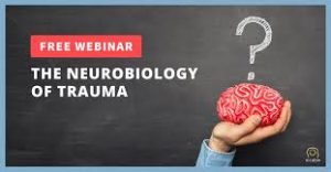 NICABM - The Neurobiology of Trauma