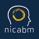 NICABM – Treating Trauma Master Series 2017