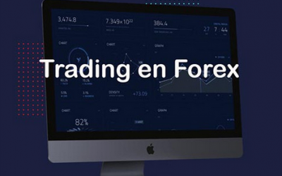 Vadim Z. – Trading en FOREX ​