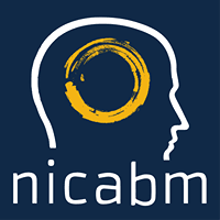 NICABM – Next Level Practitioner