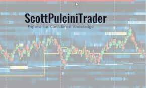 Scott Pulcini Trader – The Sweep Show