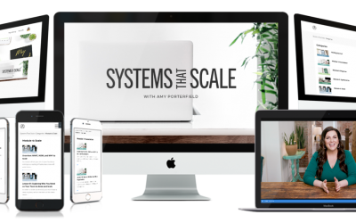 Amy Porterfield – Systems That Scale